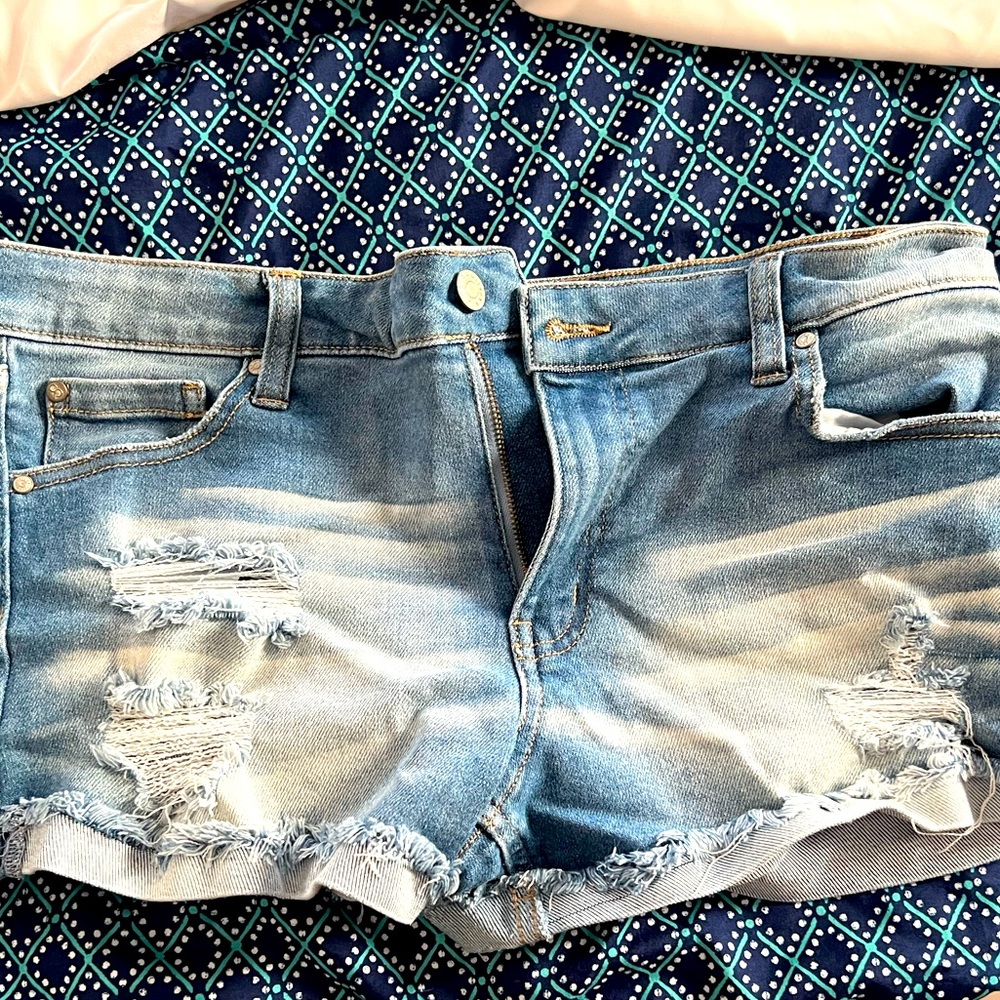 Celebrity Pink- The Honey shorts